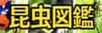 昆虫図鑑